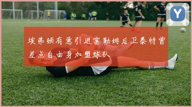 埃弗顿有意引进富勒姆后卫泰特曾差点自由身加盟球队